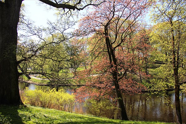 243-Парк Бастионная горка